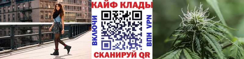 Где купить Сосновка Гашиш Cocaine Меф А ПВП Конопля