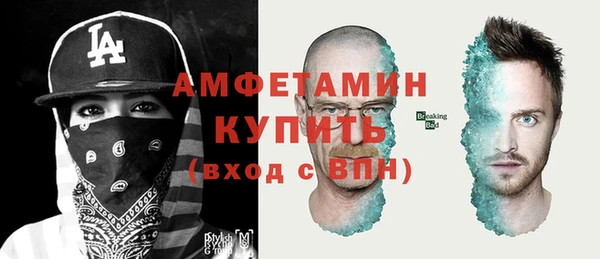 индика Алексин