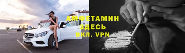 индика Алексин