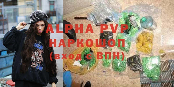 индика Алексин