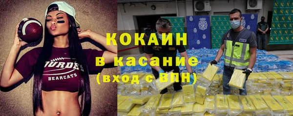 индика Алексин
