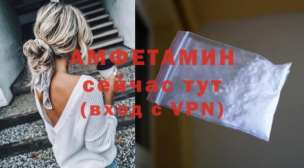 сатива Алзамай