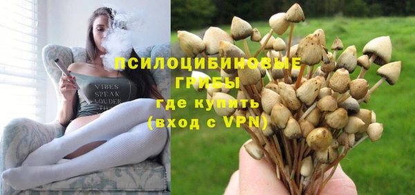 сатива Алзамай