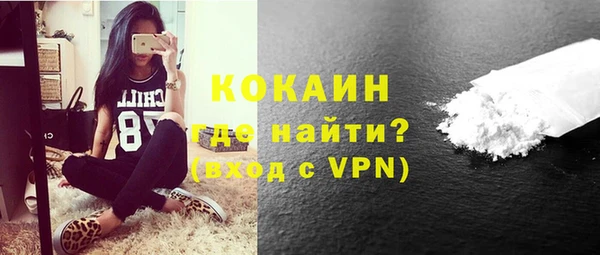 индика Алексин